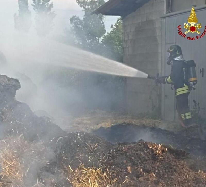 Fiamme in centro ippico a San Martino in Rio, paura per decine di cavalli