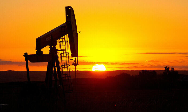 Petroleum minister discusses energy priorities with OICCI