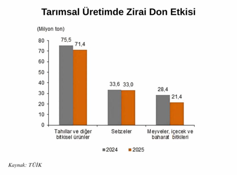 Zirai don felaketinin bedelini sadece çiftçiler değil, hepimiz ödeyeceğiz!