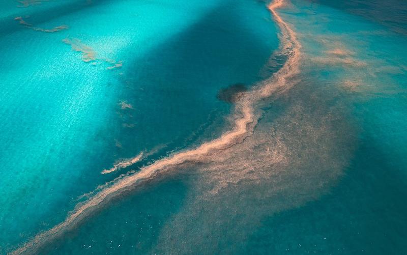 An oceanic tempo