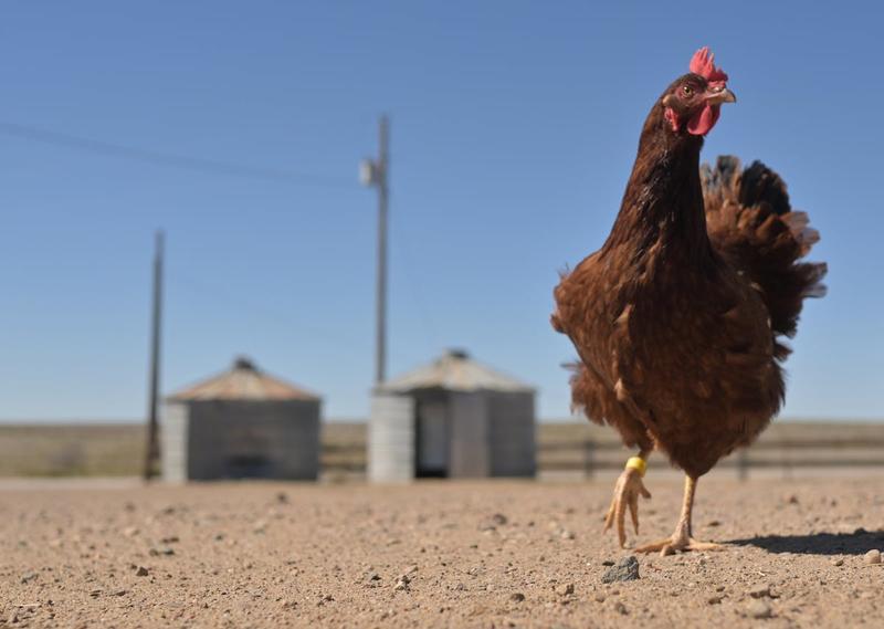 Small Farmers Are Struggling With Trumpian Chaos—and Bracing for More