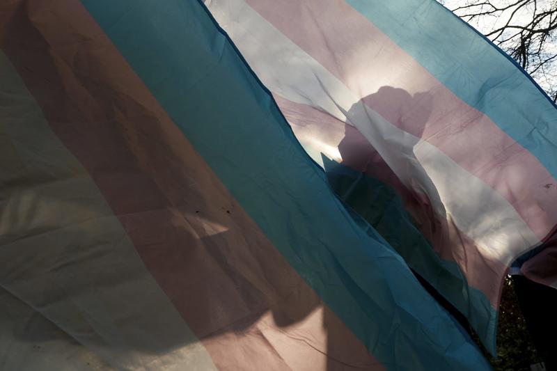 Our trans health study was terminated by the government – the effects of abrupt NIH grant cuts ripple across science and society