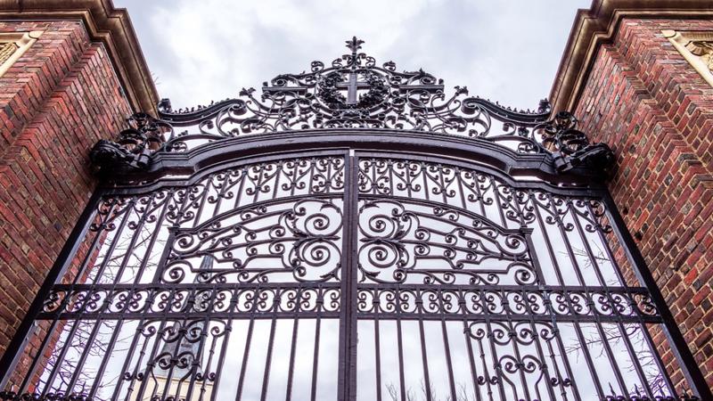 How Student Visa Crackdowns Undercut US Soft Power