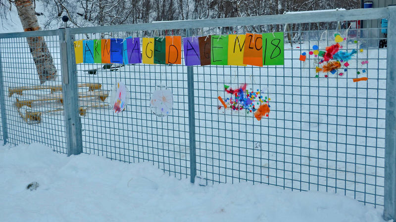 Samiskspråklige barnehager må finnes – overalt i Sápmi