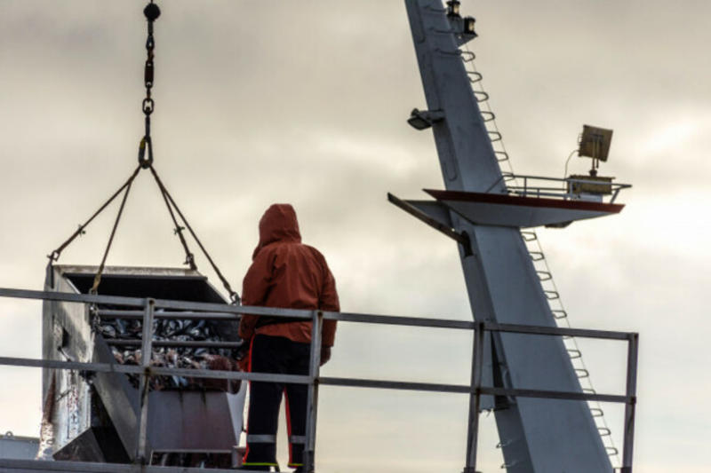 Ireland and marine life: 'We should hang our heads in shame at our failure to protect the sea'