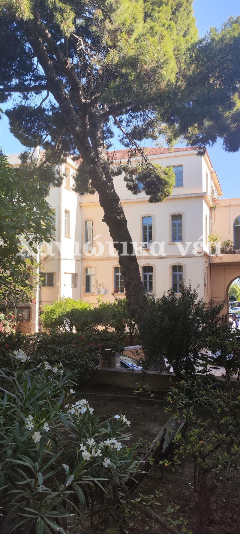 Η κλίση του δέντρου...
