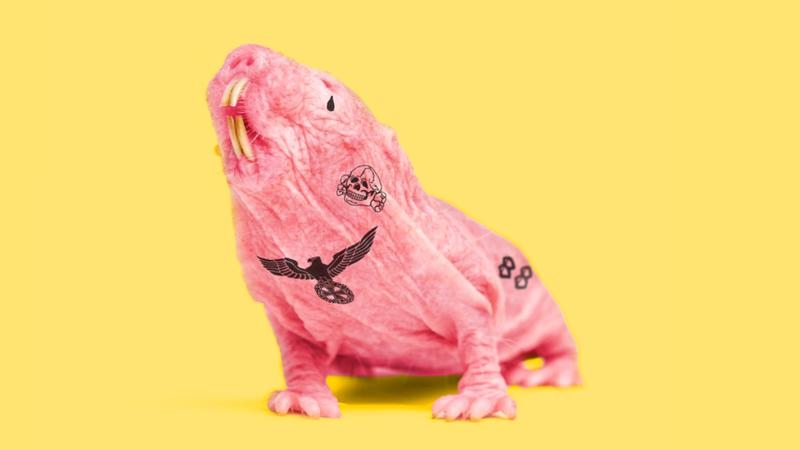 Tiktok-Trend | Tiktok-Trend „Ostmulle“: Mit sexy Filtern wird Rechtsradikalismus massentauglich