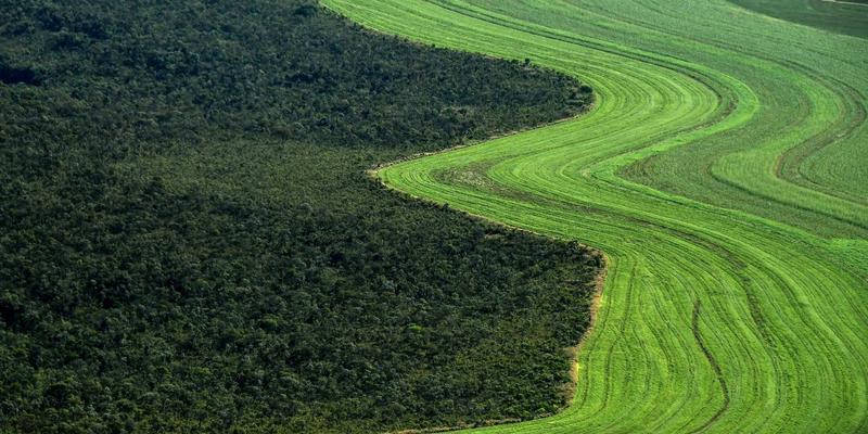 US Pension Fund TIAA Linked to Brutal Land Grabs and E​victions of Farmers in Brazil