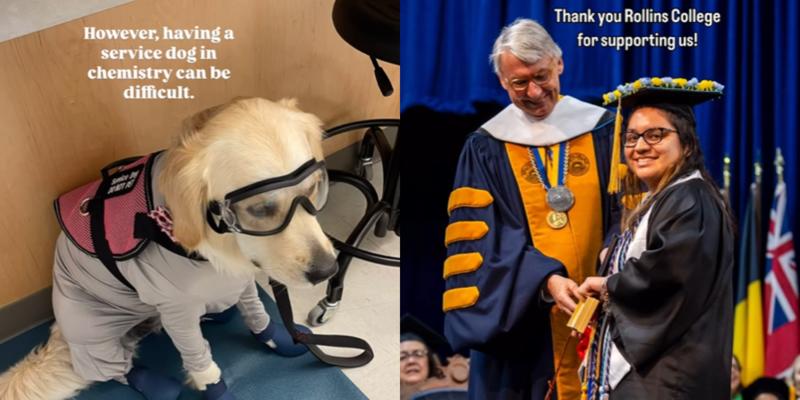Service dog trained to work in a chemistry lab gets her own special award at graduation