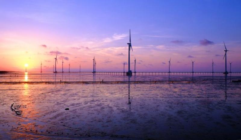 Why Vietnam Is Cutting Down Payments to Renewable Energy Developers