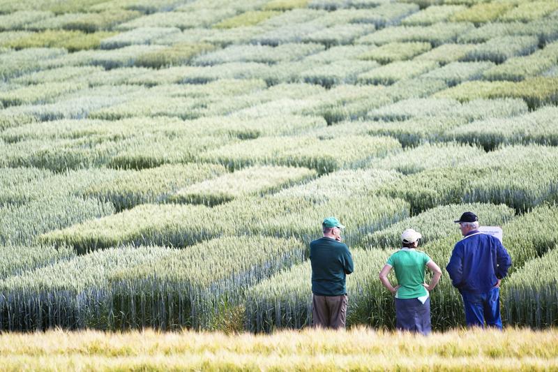 Politiikka | Yliö: Viljelijän sisäisen asiantuntijan vahvistaminen parantaa päätöksentekoa