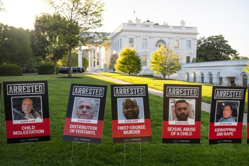 Thanks Democrats, for Inviting Terrorism Into America