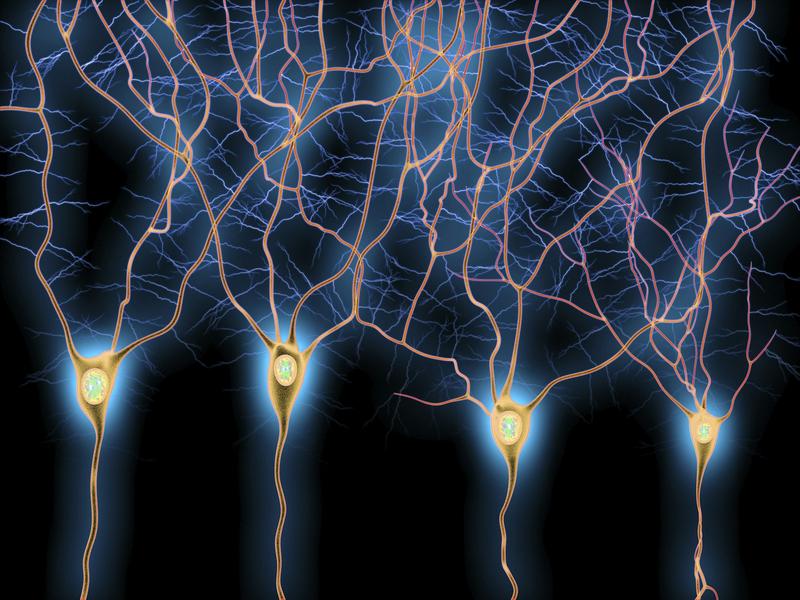 Memories of the good parts of using drugs can keep people hooked − altering the neurons that store them could help treat addiction