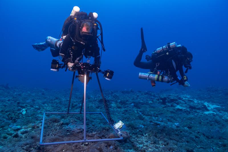 The Seabed Is Now a Battlefield