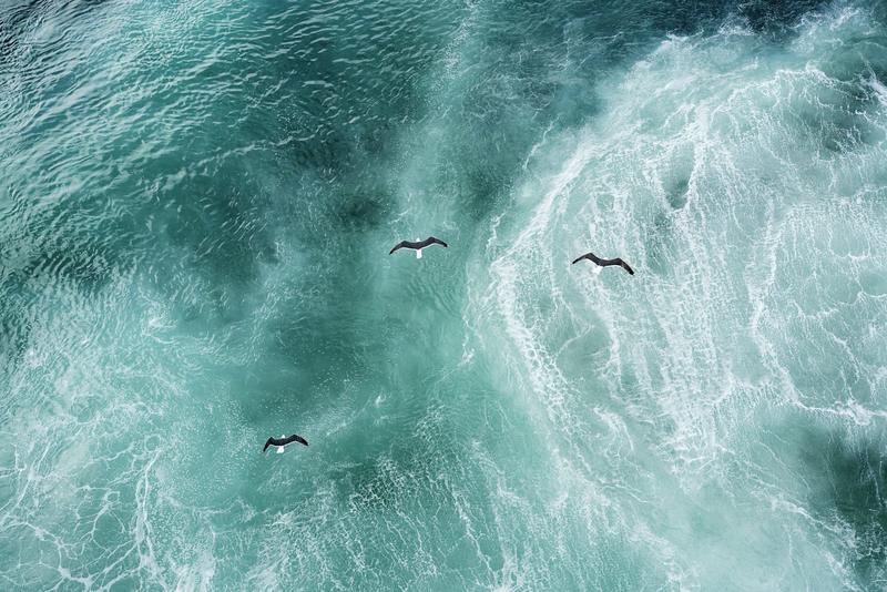 Unprecedented heat in the North Atlantic Ocean kickstarted Europe’s hellish 2023 summer. Now we know what caused it