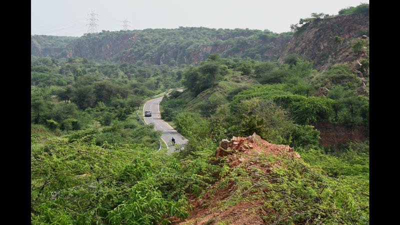 India’s biodiversity is a strategic advantage