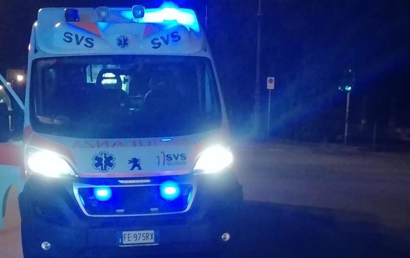 Livorno, si schianta in scooter contro un branco di cinghiali al Castellaccio