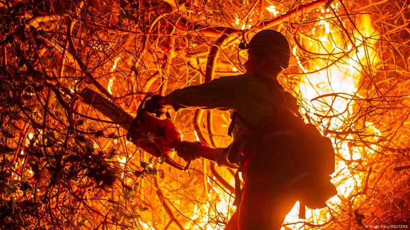 The woman who fought giant wildfires and became a hotshot