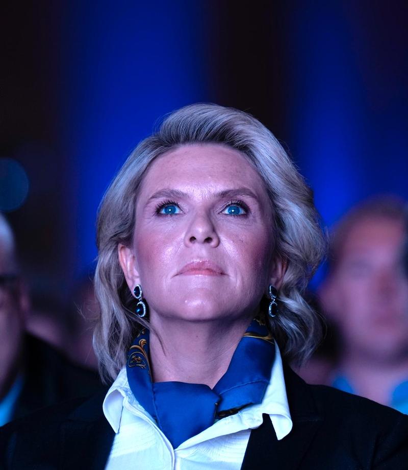 Derfor ble jeg integrert, Sylvi