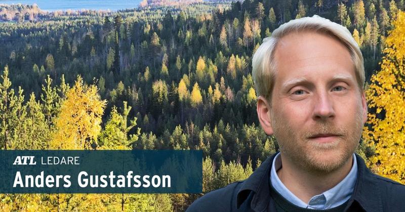 ”Skogsbolagen ska inte tränga undan familjeskogsbruket”