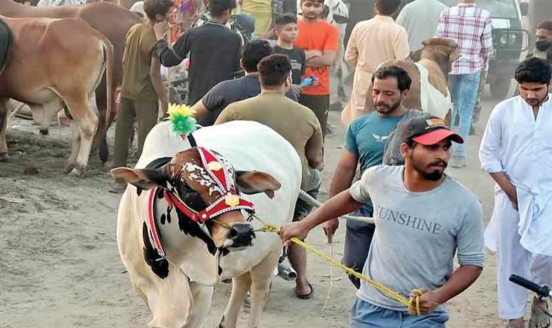 An eco-friendly Eid