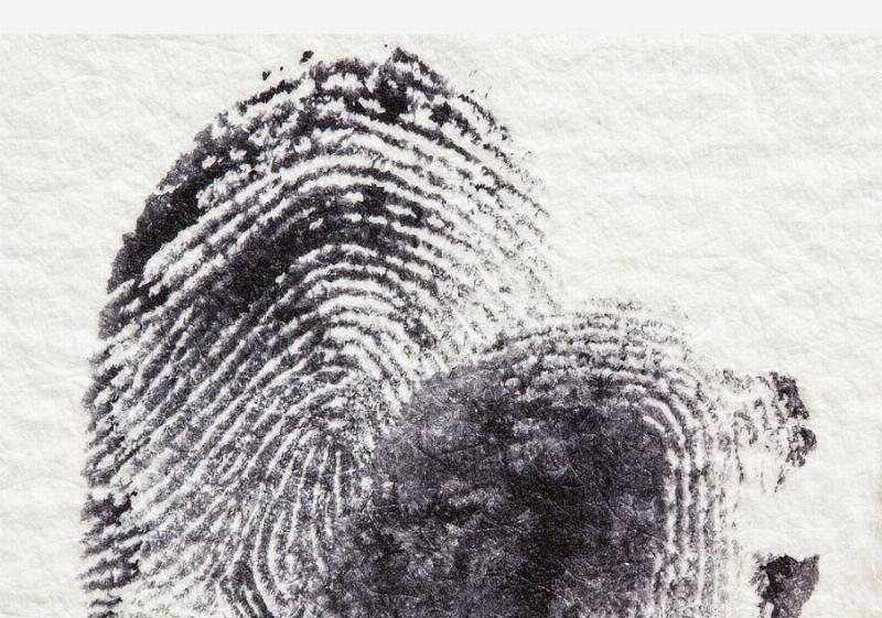 Built In Bias: The Human Fingerprints on Artificial Intelligence