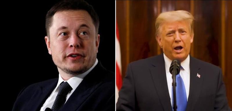 O embate entre os ególatras Trump e Musk: diferenças político-ideológicas, interesses contrariados ou pedofilia?