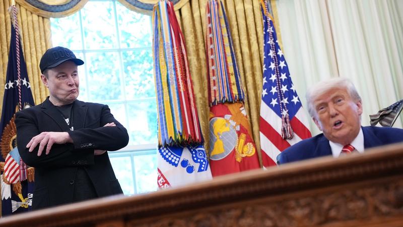 Donald Trump vs. Elon Musk: Chronologie einer peinlichen Schlammschlacht