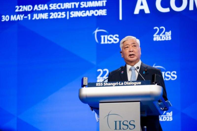 Calls for Strategic Autonomy Grow in Japan