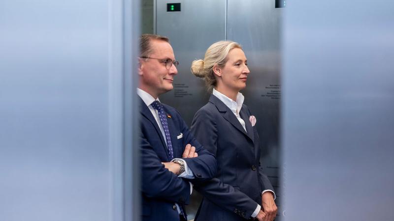 Das Vortäuschen von Politik