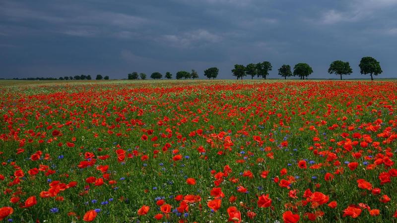Durchwachsen mit Wind und Schauern: So wird das Pfingstwetter in Thüringen