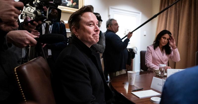 Democrats Should Stay Out of the Trump-Musk Feud and Enjoy It