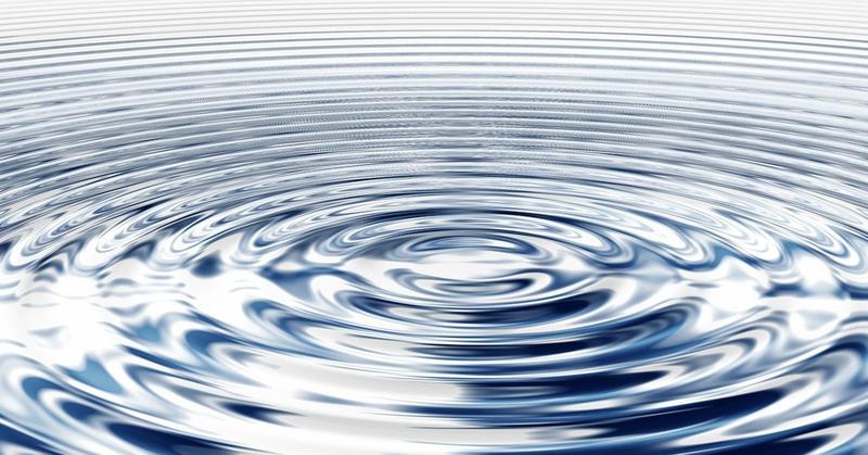 Even the Smallest Movement Ripples Through the Entire Body