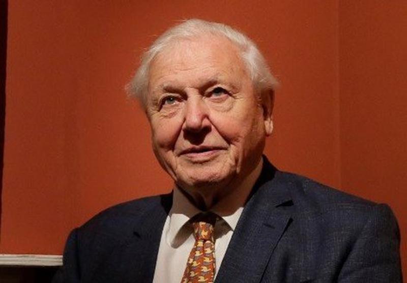 «Ocean with David Attenborough»