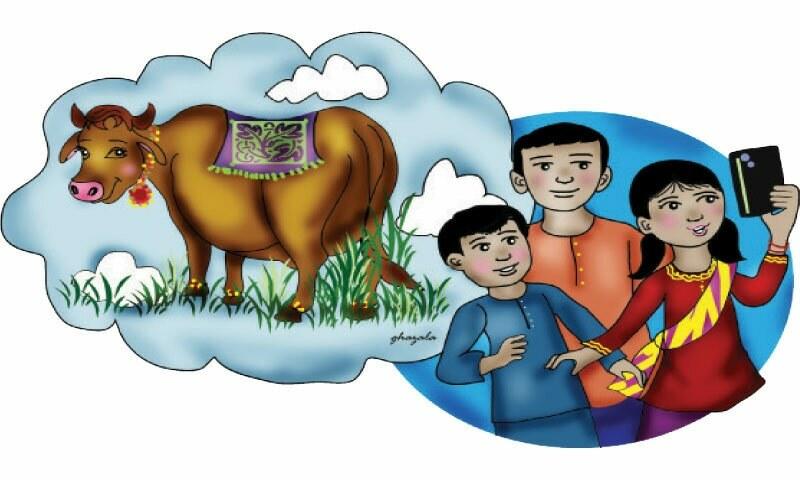 Story time: Rani, the special cow