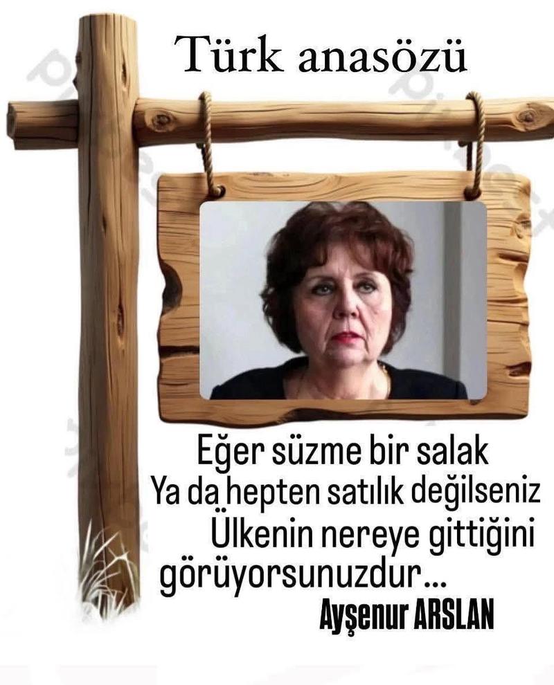 Medya mahallesi