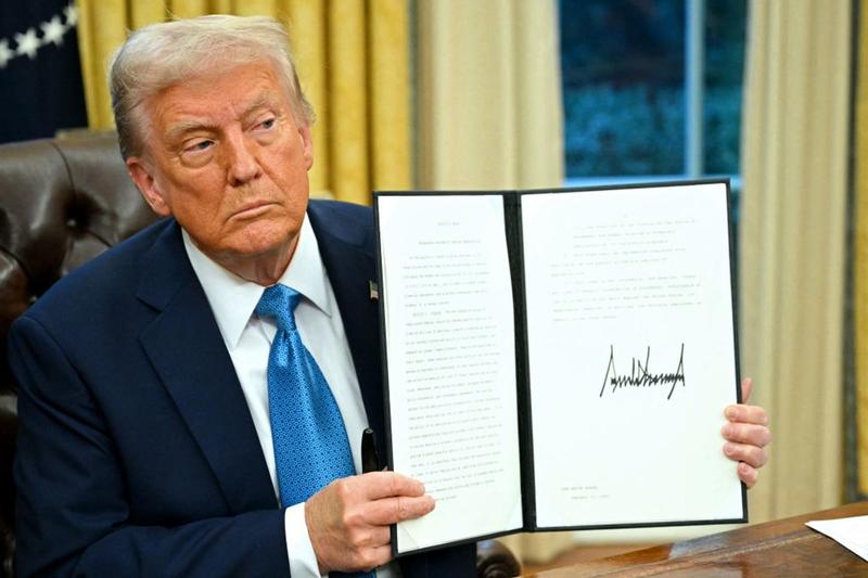 Trump loyalty is now part of job application