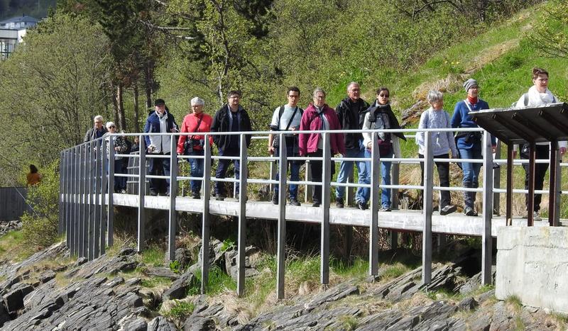 «Etter min mening må alle gangbruene rives»