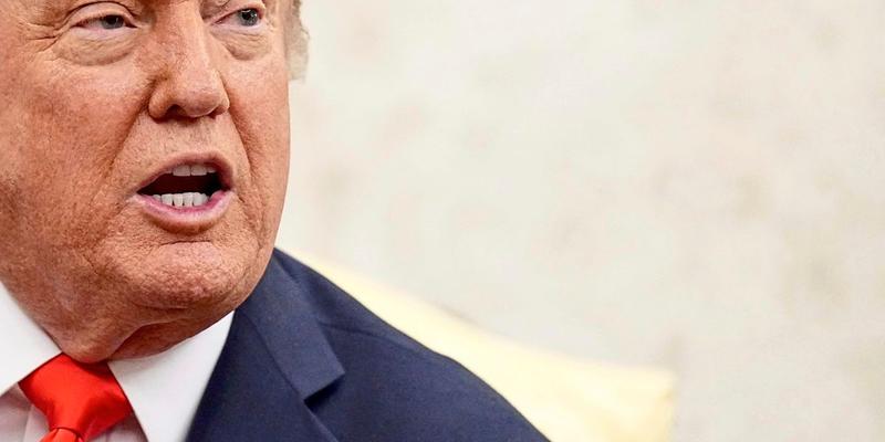 Timothy Snyder über Donald Trump: Der schwache 