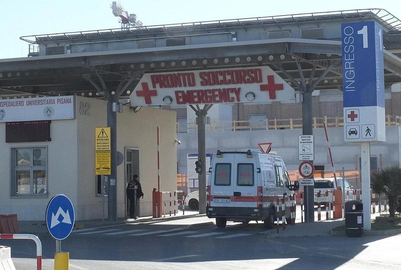 Pitbull aggredisce un cane e una donna: momenti di terrore davanti a un campeggio a Calambrone