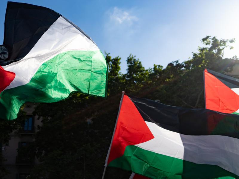 La Calabria filo Gaza va contro il passato