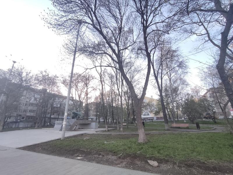 За «Дружбу», ребята!