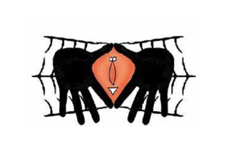 Araña feminista | Lelis Páez: la rebeldía como marca
