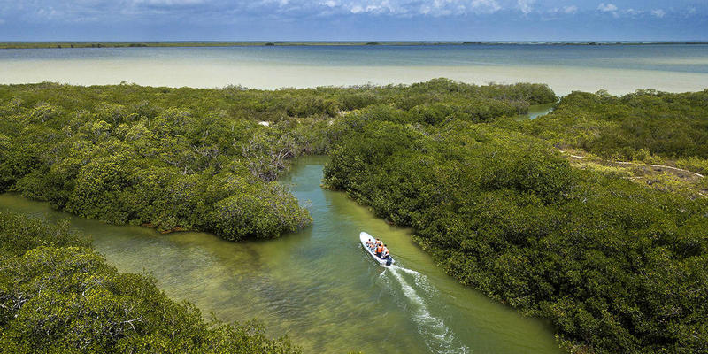 Insurers Must Promote the Blue Economy
