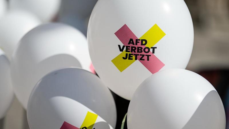 Neue Idee für ein AfD-Verbotsverfahren : Grün ist die Farbe der Hoffnung