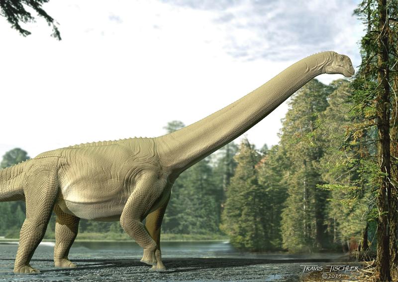 For the first time, fossil stomach contents of a sauropod dinosaur reveal what they really ate
