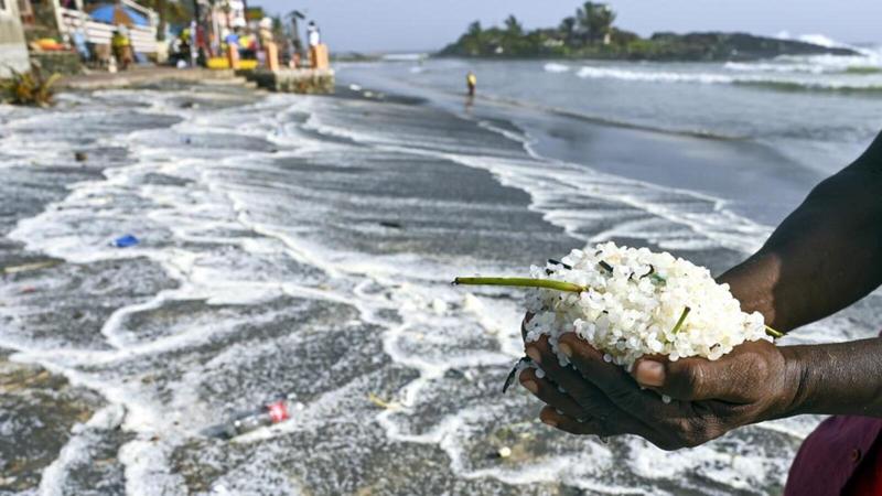 Ecostani: Health of our oceans should be prioritised
