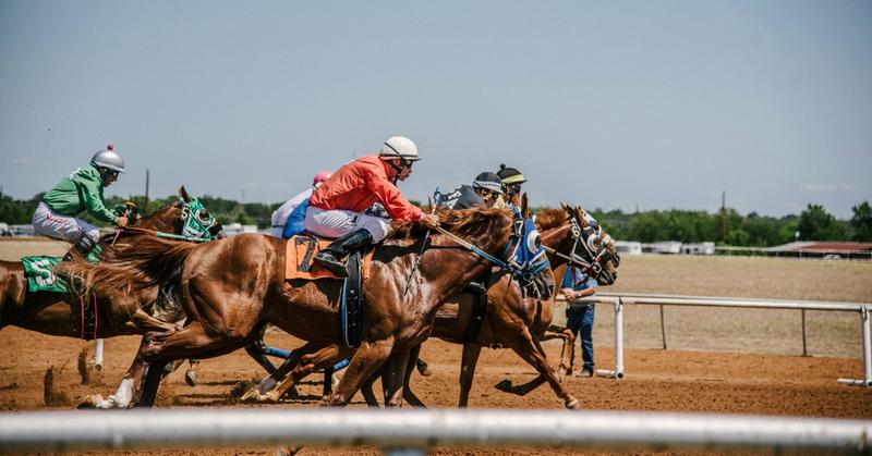How the Business Part of Horse Racing Impacts Animal Welfare