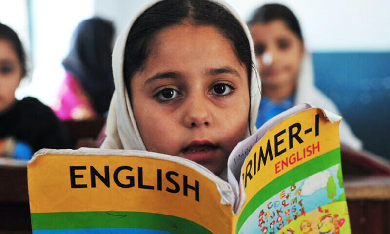 Economic Survey 2024-25: Education spending plummets to 0.8pc of GDP