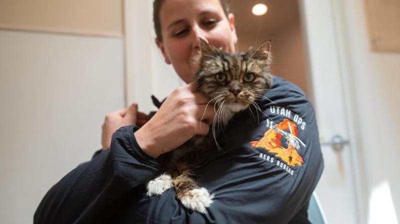 Miracle cat that survived owners' fatal fall from Bryce Canyon gets new home